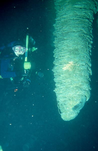 Sonia sees the big Stalactite